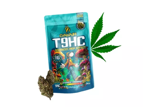 Balanced 99% - T9HC Blüten