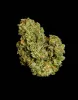 Cannabis Samen Orion F1