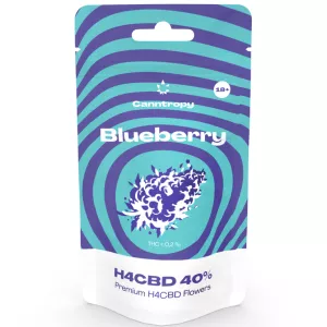 Blueberry H4CBD-Blüten: Ruhe und...