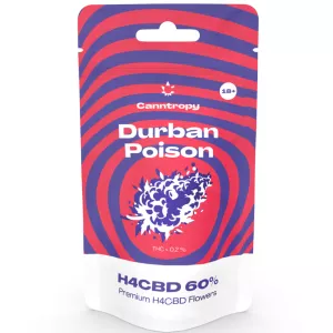 H4CBD Blüten Durban Poison: Ents...
