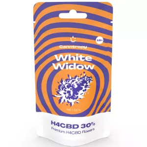 White Widow CBD-Blüten: Erleben ...